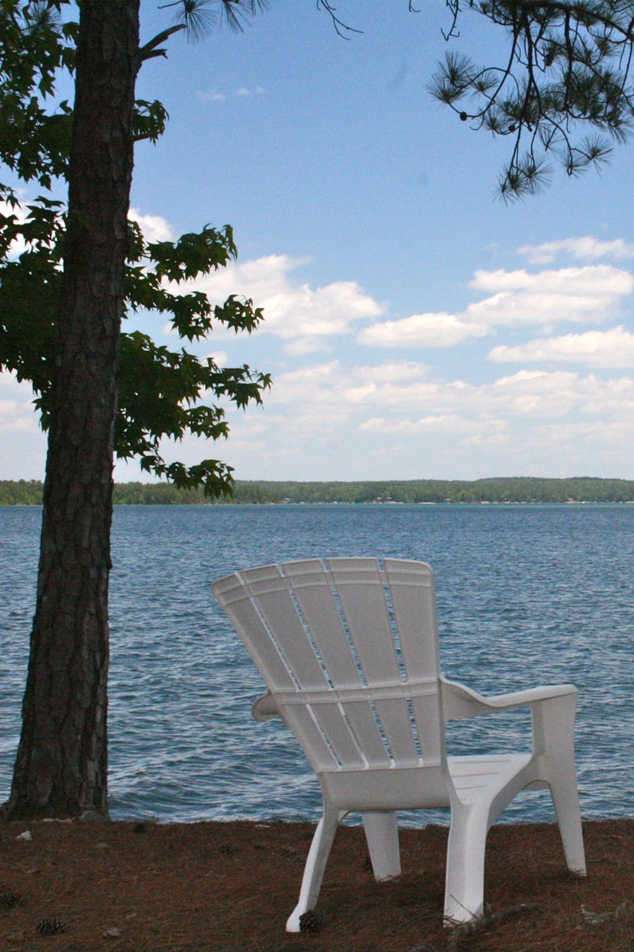 Lake Martin